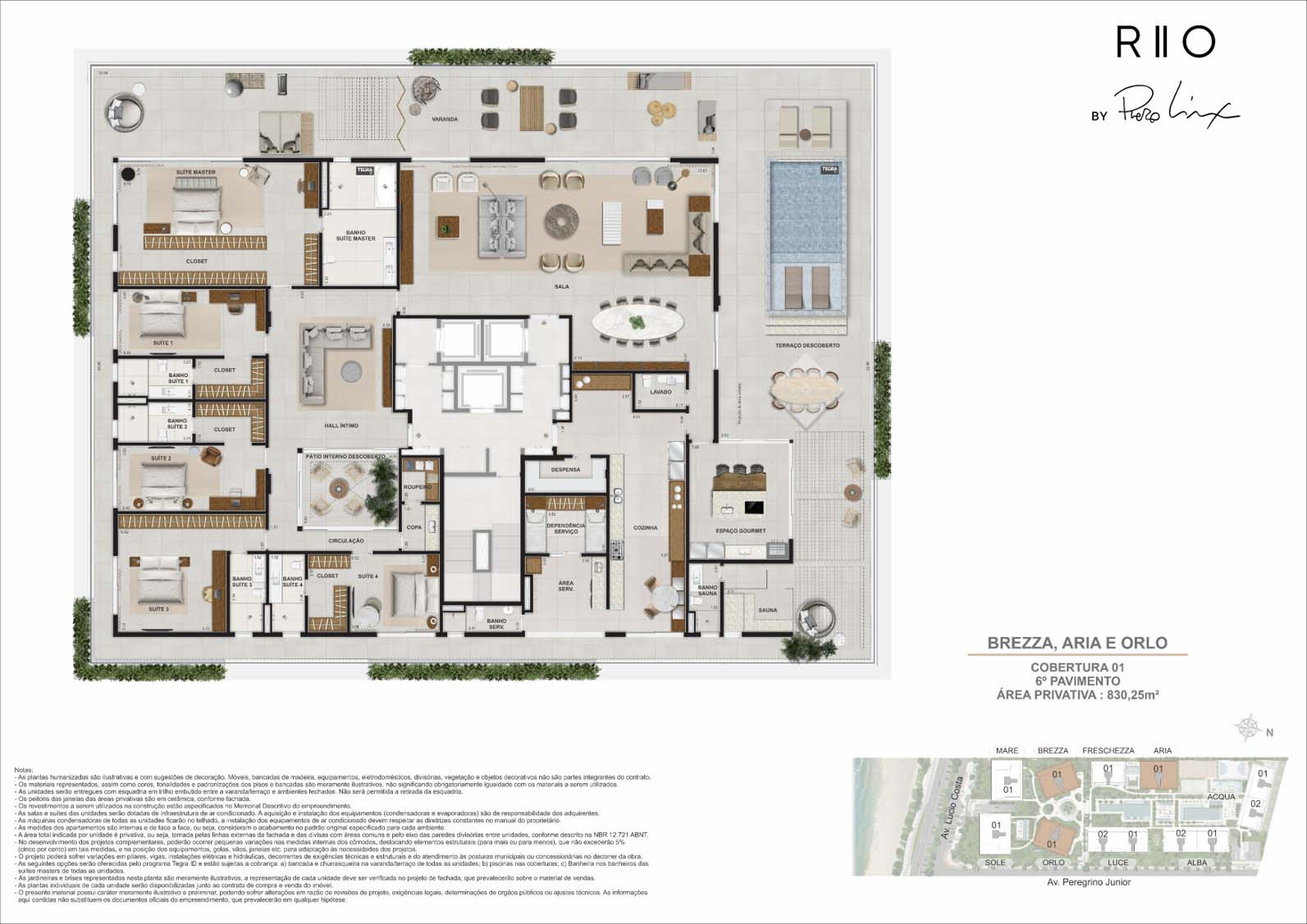Planta 6